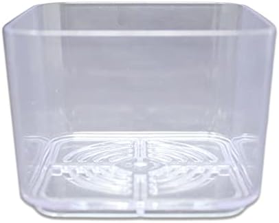 3" Clear Succulent Pots - 3 Pack (Crystal Clear)