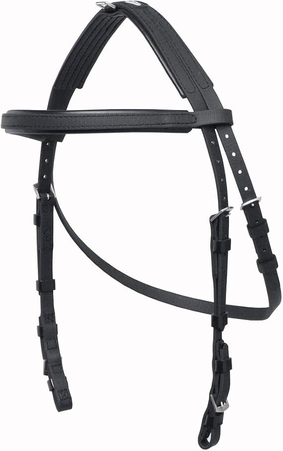 Hackamore Bridle – サイズ: COBカラー:ブラック