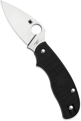 Spyderco Urban Leaf Non-Locking Knife with 2.61 N690Co Steel Blade and Black Lightweight FRN Handle - PlainEdge - C127PBK
