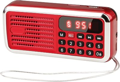 Mini FM Radio
