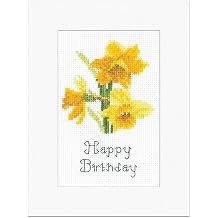 Heritage Crafts Cross Stitch Kit - John Clayton Daffodils Greetings Card - Counted Cross Stitch Birthday Card Kit