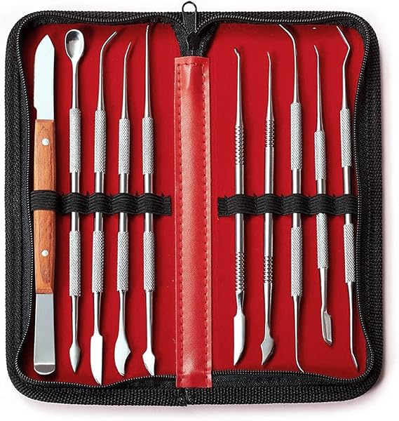 Spatula Tool Set, 10 Piece Set, Engraving Knife, Spatula, Stainless Steel, Clay, Modeling, Pottery, Models, Fine Crafts, Figure, Resin Clay, Sculpture, Putty, Spatula, Craft, Tool Set, Storage Case