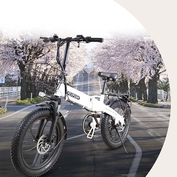 New Model, No License Required, Electric Bicycle, Cool, Electric Assisted Bicycle, Foldable, For Public Roads, 20 Inches, Electric Folding Bicycle, Cheap, Folding Electric Bicycle On Public Roads,