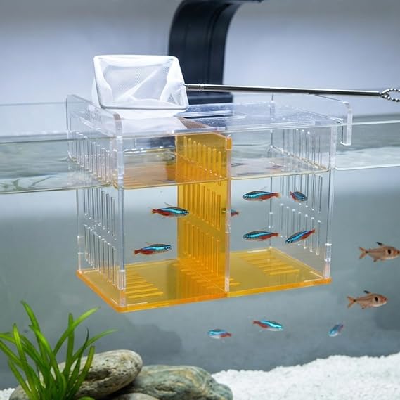 Fish Breeder Box for Aquarium, Acrylic Hatchery Incubator with Long Handle Net - Breeding & Isolation Box for Baby Fish, Shrimp, Betta Guppy, Tank Divider (Orange, 9x5.3x6.7 in)