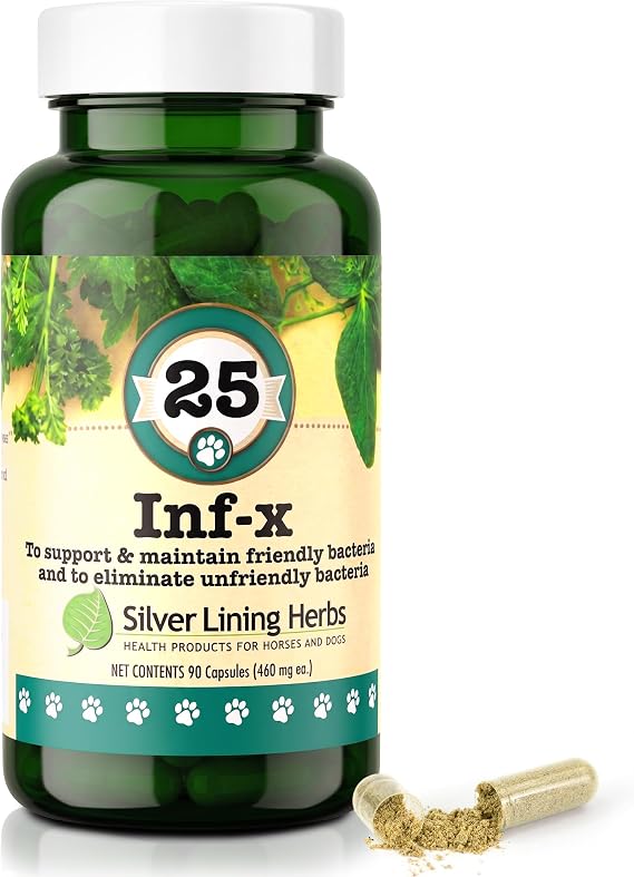 Silver Lining Herbs Canine INF-X Herbal Supplement, 90 Capsules