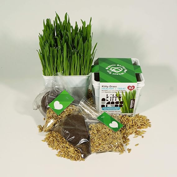 Priscilla's Pet Products Cat Grow Kit - Hairball Remedy