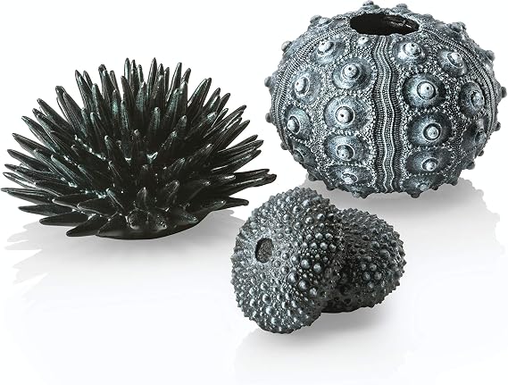 Biorb 48365 Sea Urchins Set Black