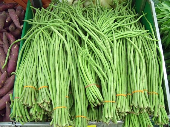 VISTARIC Yardlong Bean (Asparagus Bean, Snake Bean, Chinese Long Bean) 100 Seeds