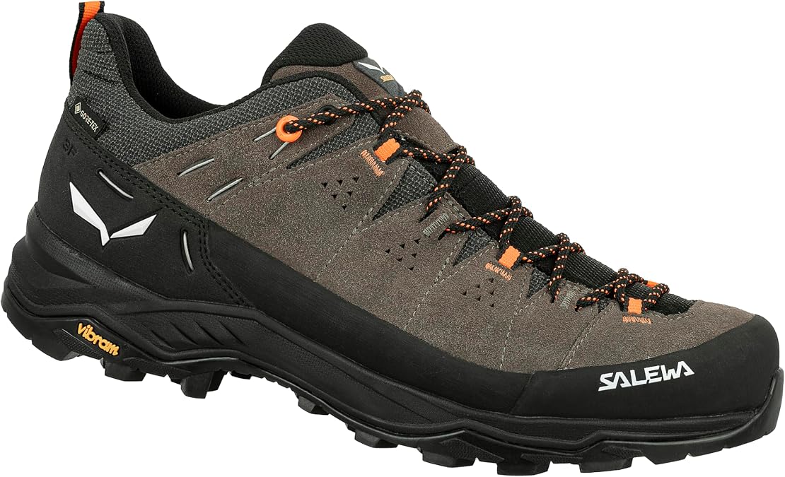Salewa Men's Alp Trainer 2 GTX Hiking Shoes