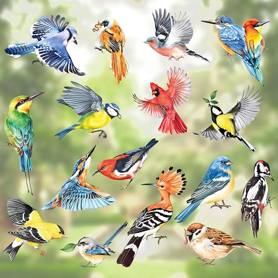 decalmile Window Clings Birds Hummingbird Parrot Reusable Windows Decals