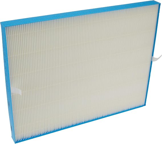 Winix 115122 PlasmaWave Series Long Life Washable Filter Size 21 Carbon Pre-Filter 4, White